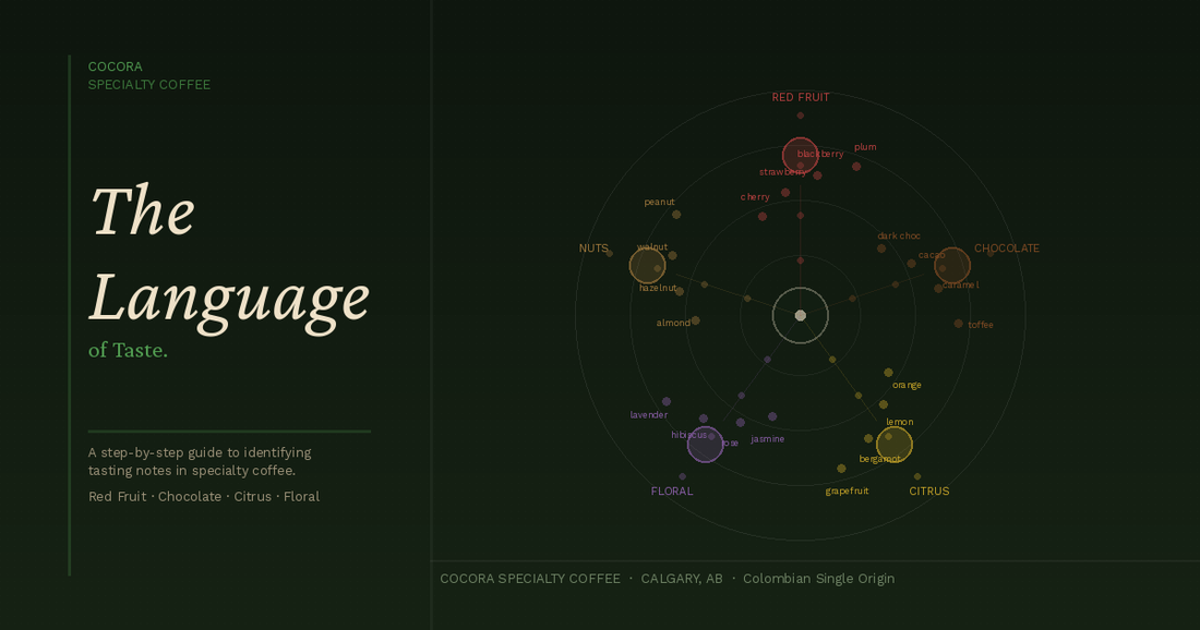 Coffee Tasting Notes for Beginners: Step-by-Step Guide