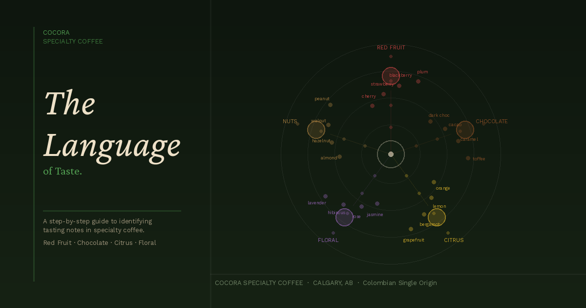 Coffee Tasting Notes for Beginners: Step-by-Step Guide